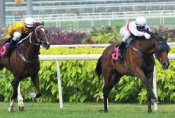 April's Knight gets up on the inside to give Joao Moreira a third winner on Sunday.<br>Photo by Singapore Turf Club
